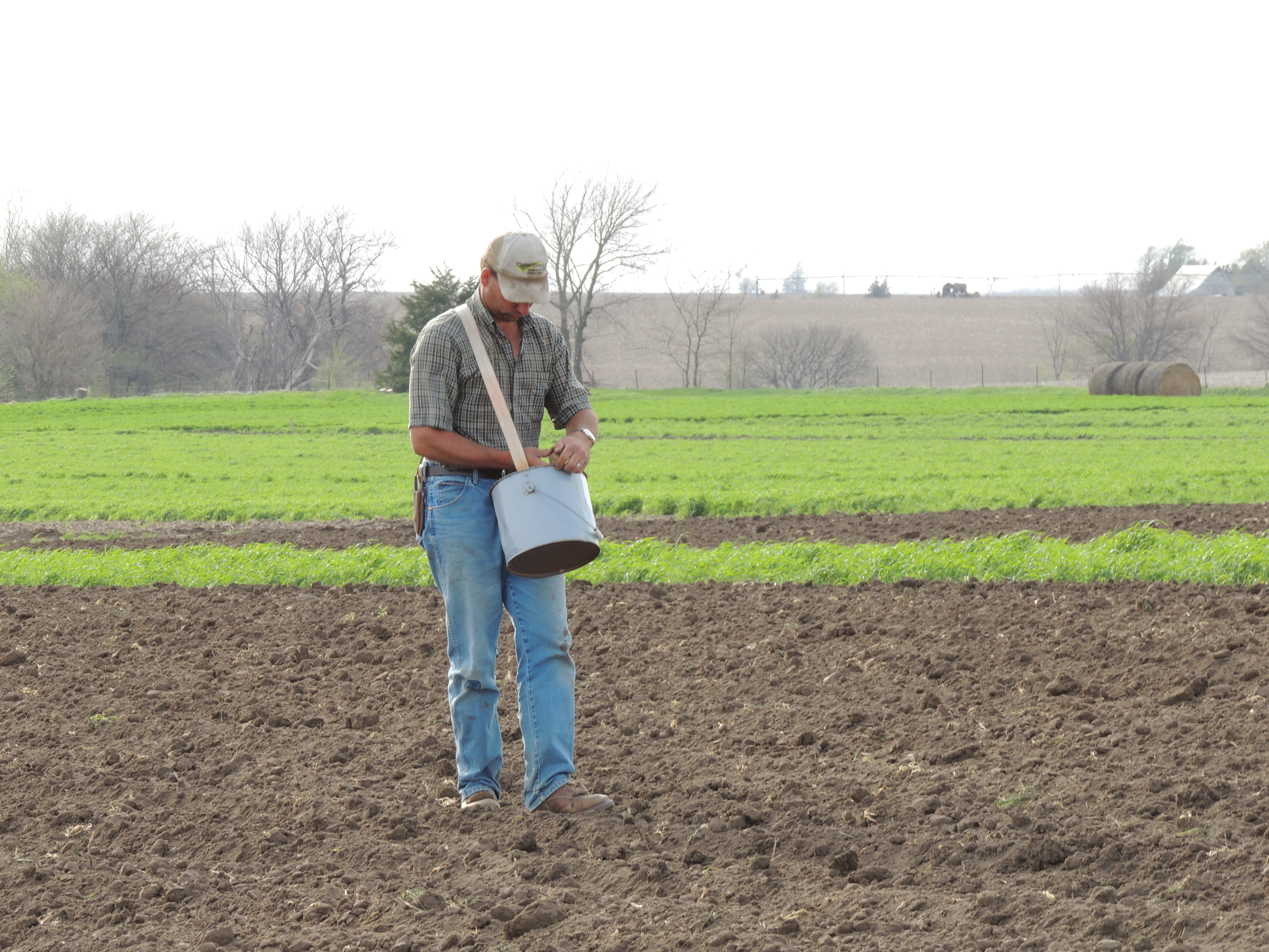 Cutting Potatoes – Pekarek's Produce