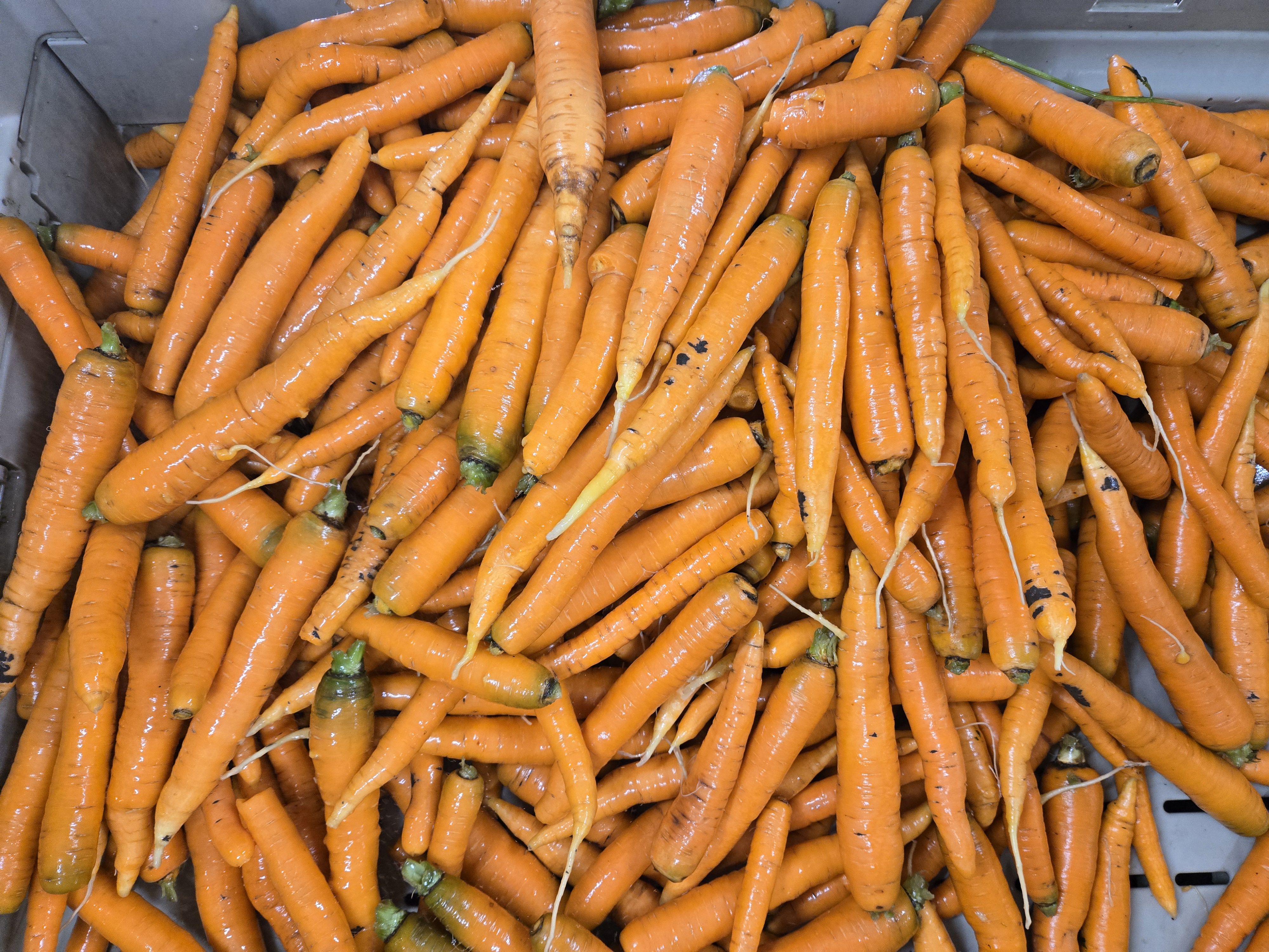 Pekarek's Produce photo
